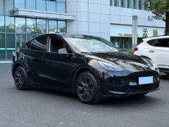 Tesla Model Y Rear-Wheel Drive - ფოტო 3