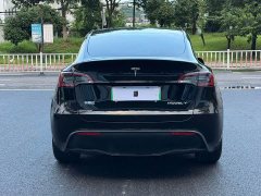 Tesla Model Y Rear-Wheel Drive - ფოტო 6