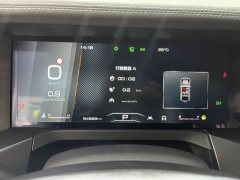 Tank 300 2021 Off-Road Edition 2.0T Challenger - ფოტო 4