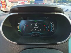 Chery Ant 150,000 Ant Fan Edition Cool Version LFP Battery - ფოტო 13