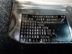 Chery Ant 150,000 Ant Fan Edition Cool Version LFP Battery - ფოტო 14