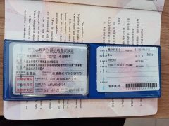 Chery Ant 150,000 Ant Fan Edition Cool Version LFP Battery - ფოტო 20