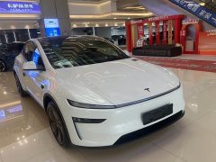 Tesla Model Y Rear-Wheel Drive - ფოტო 4