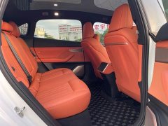 Nio Lerado L60 2024 60kWh Rear-Wheel Drive - ფოტო 11