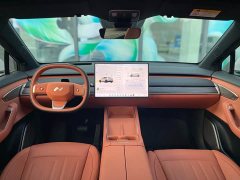 Nio Lerado L60 2024 60kWh Rear-Wheel Drive - ფოტო 14