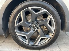 Nio Lerado L60 2024 60kWh Rear-Wheel Drive - ფოტო 16