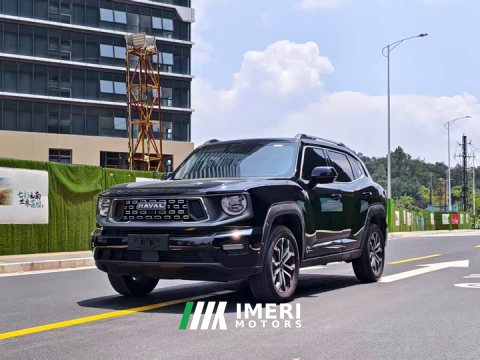 2024 Haval Big Dog PLUS 2023 1.5T Two-Wheel Drive Trendy Wilderness Edition Plus - ავტომობილი ჩინეთიდან