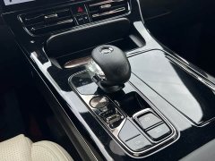 GAC Aion M8 Master Series Dual Engine Premium Version - ფოტო 19