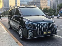 Mercedes-Benz Vito 2.0T Elite 7-Seater - ფოტო 2