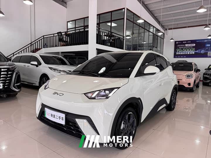 BYD Seagull 2025 305km Freedom Edition - ავტომობილი ჩინეთიდან
