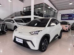 BYD Seagull 2025 305km Freedom Edition - ფოტო 1