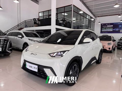 2024 BYD Seagull 2025 305km Freedom Edition - ავტომობილი ჩინეთიდან