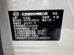 BYD Seagull 2025 305km Freedom Edition - ფოტო 19