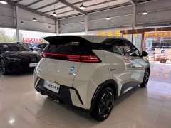 BYD Seagull 2025 305km Freedom Edition - ფოტო 5