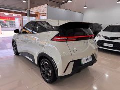 BYD Seagull 2025 305km Freedom Edition - ფოტო 6