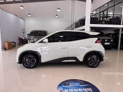BYD Seagull 2025 305km Freedom Edition - ფოტო 7