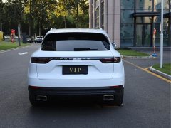 Porsche Cayenne 3.0T Platinum Edition - ფოტო 9