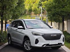 Haval M6 PLUS 1.5T DCT Elite Smart Connected Edition - ფოტო 1
