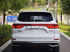 Haval M6 PLUS 1.5T DCT Elite Smart Connected Edition - ფოტო 11