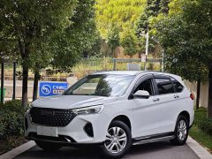 Haval M6 PLUS 1.5T DCT Elite Smart Connected Edition - ფოტო 3