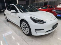 Tesla Model 3 Standard Range RWD Upgrade - ფოტო 3
