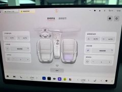 Zeekr Geely Zeekr 001 ME Edition 100kWh AWD - ფოტო 12