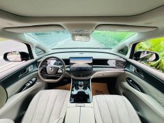 Denza BYD Denza D9 2022 EV 620 Premium - ფოტო 11