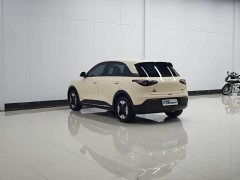 Geely Xing Yuan 310km Dream Edition - ფოტო 9