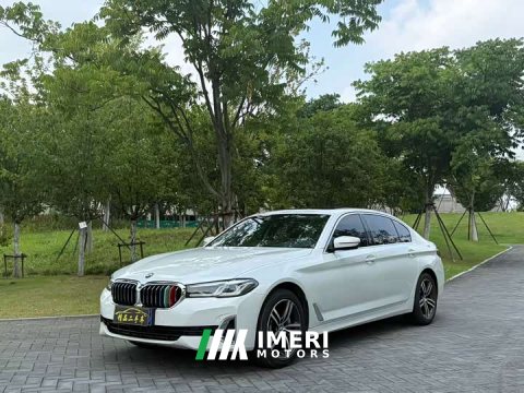 2021 BMW 5 Series 530Li Premier Luxury Package - ავტომობილი ჩინეთიდან