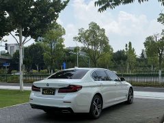 BMW 5 Series 530Li Premier Luxury Package - ფოტო 9