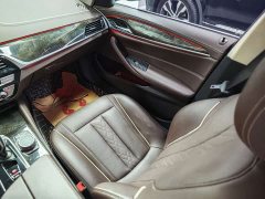 BMW 5 Series 530Li Premier Luxury Package - ფოტო 11