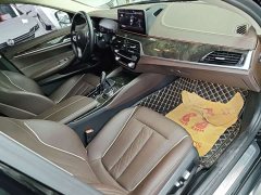 BMW 5 Series 530Li Premier Luxury Package - ფოტო 13