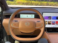 Dongfeng Fengshen L8 185KM Ideal Edition - ფოტო 16