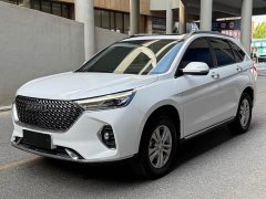 Haval M6 2021 PLUS 1.5T DCT Luxury Smart Connected Edition - ფოტო 1