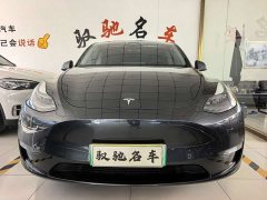 Tesla Model Y Long Range All-Wheel Drive - ფოტო 1