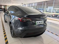 Tesla Model Y Long Range All-Wheel Drive - ფოტო 13