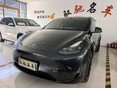 Tesla Model Y Long Range All-Wheel Drive - ფოტო 2