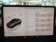 Tesla Model Y Long Range All-Wheel Drive - ფოტო 6