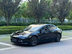 Tesla Model 3 Facelift Standard Range RWD Upgrade 3D1 - ფოტო 2