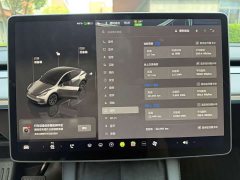 Tesla Model Y 2024 Rear-Wheel Drive - ფოტო 11