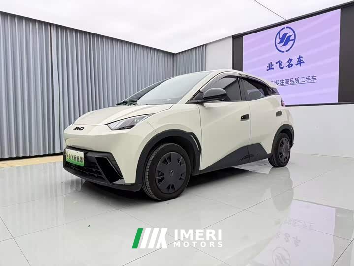 BYD Seagull Glory Edition 305km Vitality Version - ავტომობილი ჩინეთიდან