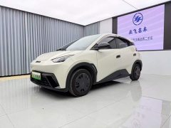 BYD Seagull Glory Edition 305km Vitality Version - ფოტო 1