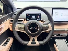 BYD Seagull Glory Edition 305km Vitality Version - ფოტო 11
