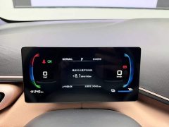 BYD Seagull Glory Edition 305km Vitality Version - ფოტო 12