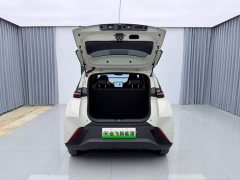 BYD Seagull Glory Edition 305km Vitality Version - ფოტო 16