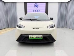 BYD Seagull Glory Edition 305km Vitality Version - ფოტო 2