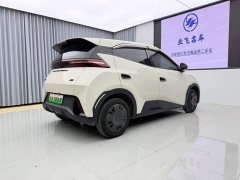BYD Seagull Glory Edition 305km Vitality Version - ფოტო 4