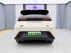BYD Seagull Glory Edition 305km Vitality Version - ფოტო 5