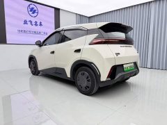 BYD Seagull Glory Edition 305km Vitality Version - ფოტო 6