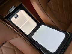 Nissan Zun S800 Extended Range Starlight Executive Edition 4-Seater (192-line LiDAR) - ფოტო 16